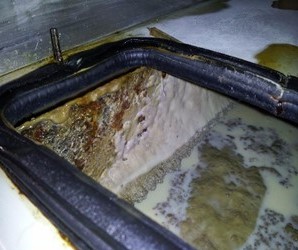 masalah jamur pada metalworking fluids