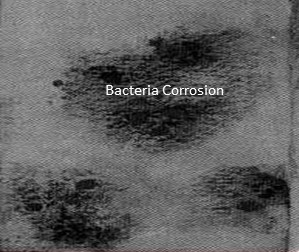 bacteria corrosion