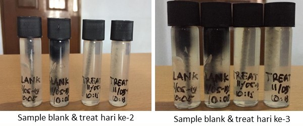 masalah biodiesel problems 