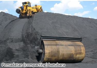 pemadatan batubara antisipasi coal self heating