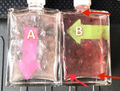 fuel additive diesel fuel treatment